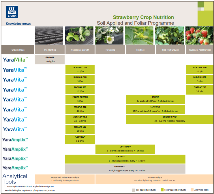 Strawberries solid fertiliser and foliar nutrition programme