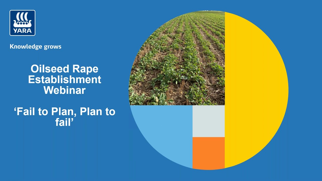 Give your oilseed crop the best possible start this autumn