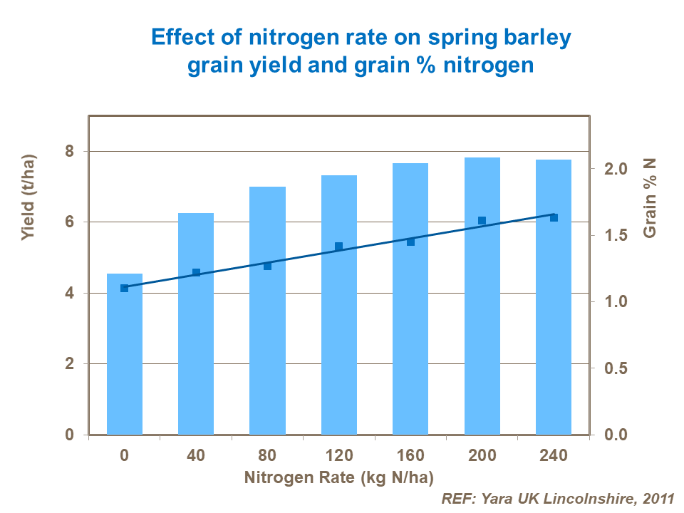 Effect of nitrogen rate on spring barley grain yield and grain protein.png