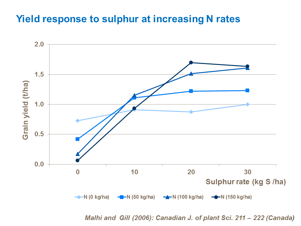 Yield response to sulphur at increasing N rates