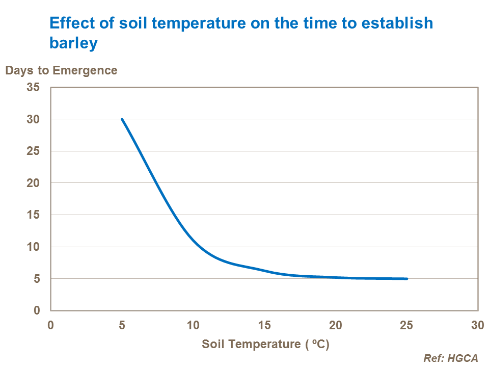 Effect of soil temperature on the time to establish barley