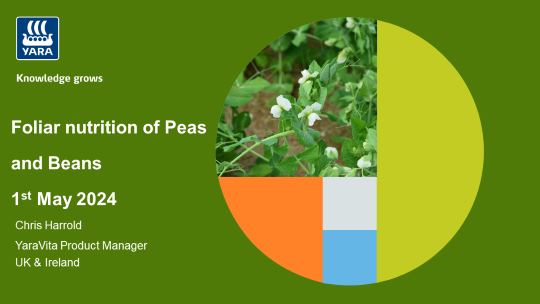 Pulses webinar cover 