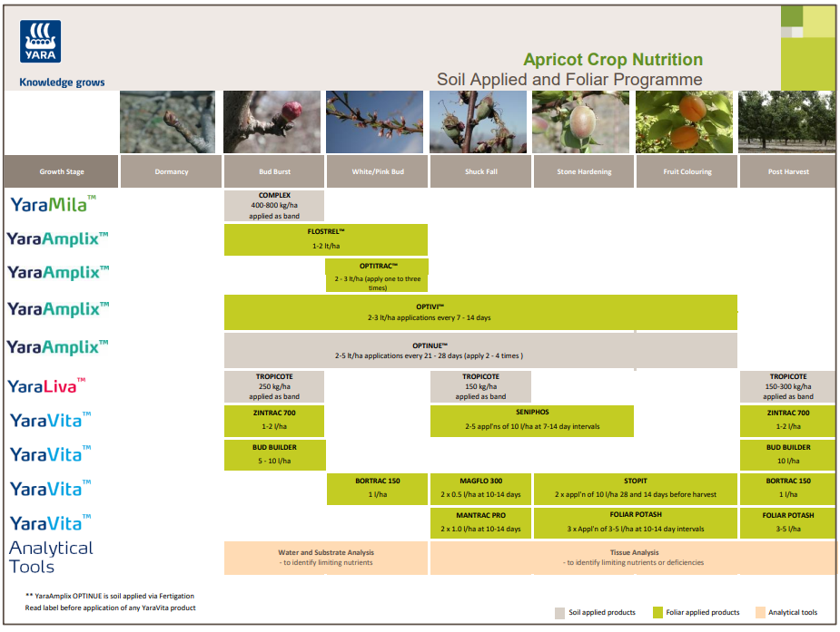 Apricot crop programme