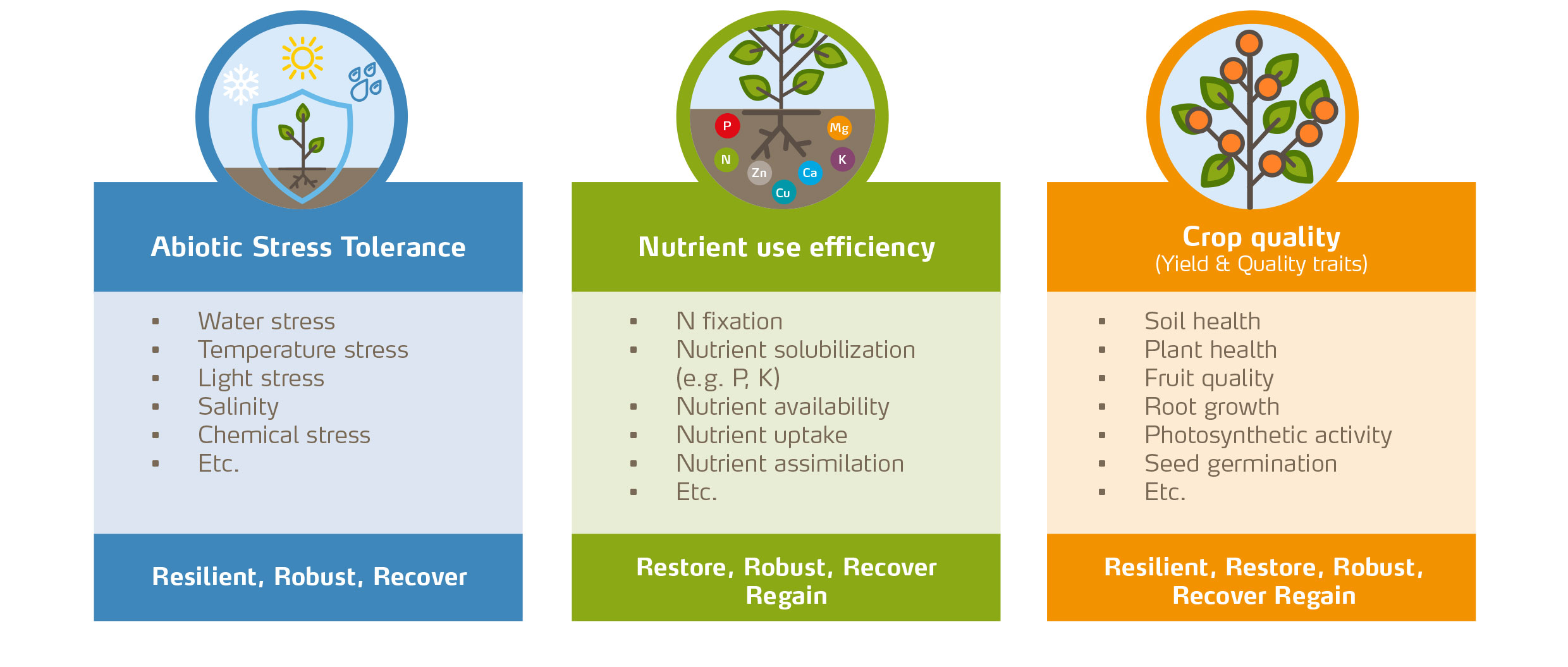 graphical image of yaraamplix benefits