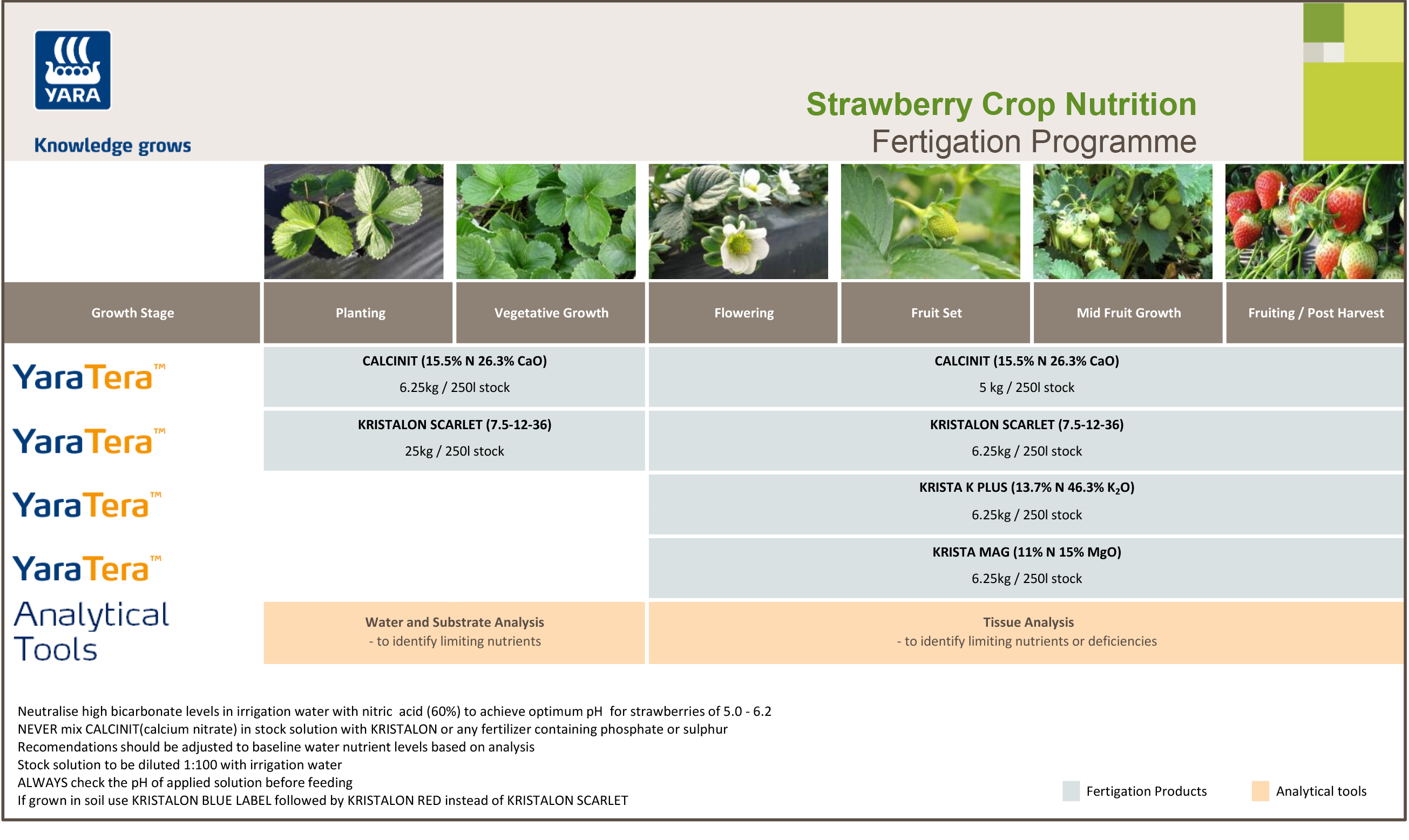 Strawberries fertigation programme