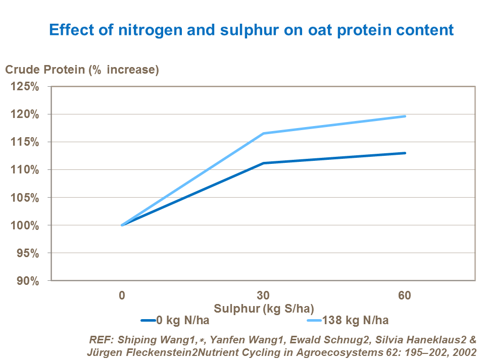 Effect of nitrogen and sulphur on oat protein content