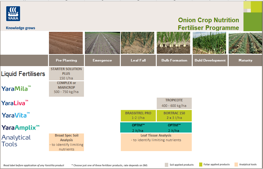 Onion crop programme