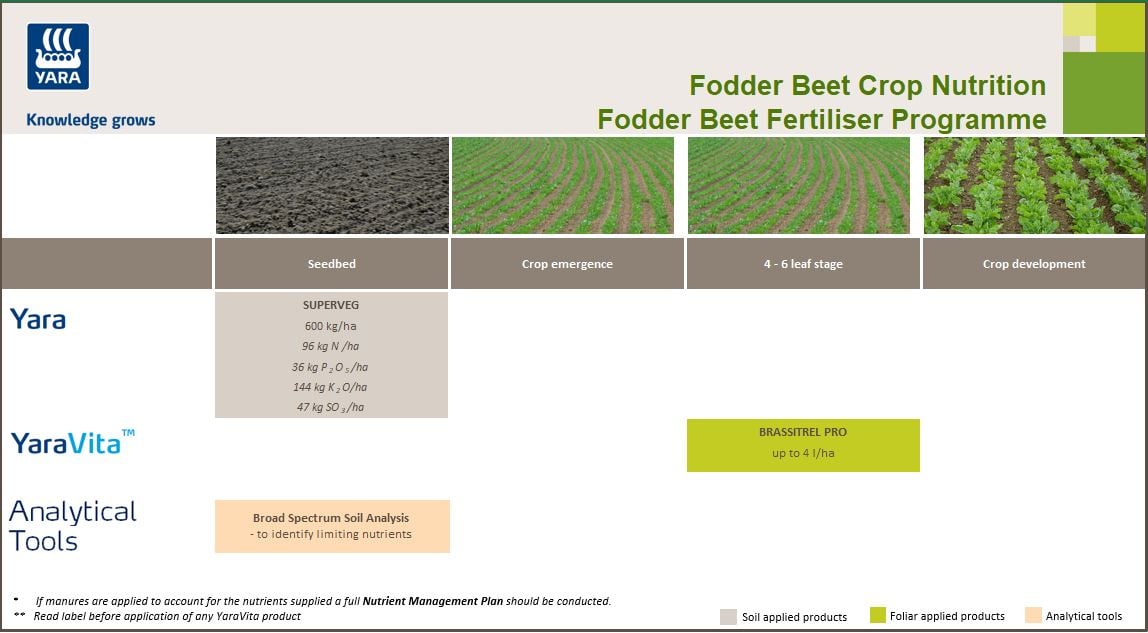 Fodder beet fertiliser programme