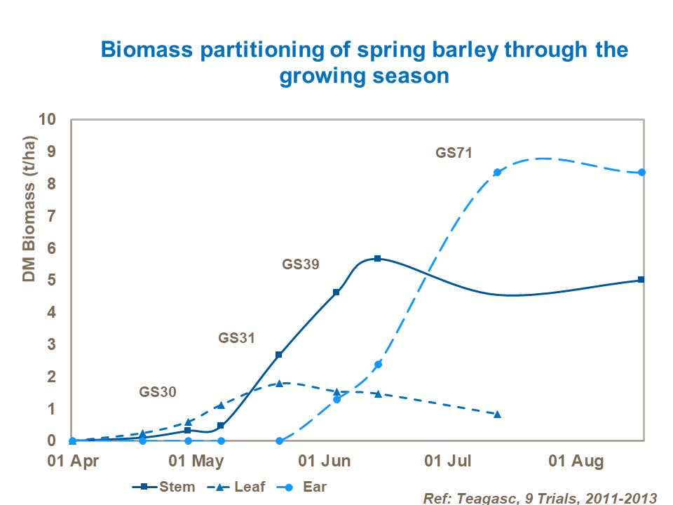 Biomass partitioning of spring barley during the growing season.png