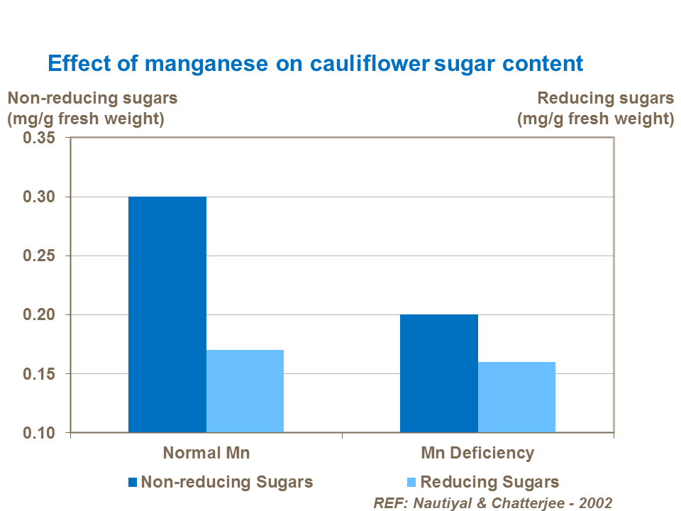 Effect of manganese on cauliflower sugar content