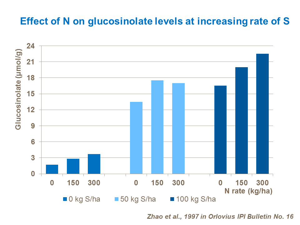 Effect of N on glucosinolate levels at increasing rate of sulphur